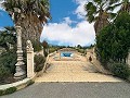 Belle villa avec piscine et 5 chambres à Sax in Alicante Dream Homes API 1122