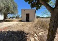 Finca met 3 slaapkamers en 2 badkamers in Sax met meer dan 16.000 m2 grond in Alicante Dream Homes API 1122