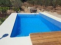 Charmante Villa in La Romana in Alicante Dream Homes API 1122