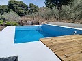 Charmante Villa in La Romana in Alicante Dream Homes API 1122