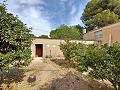 Charmante villa située à La Romana in Alicante Dream Homes API 1122