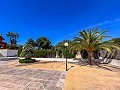 Mansion between Monóvar and Novelda in Alicante Dream Homes API 1122
