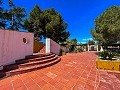 Herrenhaus zwischen Monóvar und Novelda in Alicante Dream Homes API 1122