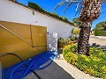 Mansion between Monóvar and Novelda in Alicante Dream Homes API 1122