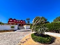 Manoir entre Monóvar et Novelda in Alicante Dream Homes API 1122