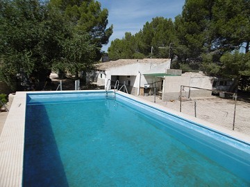 Villa de 4 dormitorios con piscina en un entorno natural.