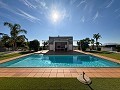 Stunning Mansion with Private Swimming Pool,Sports Court and Barbecue Area in Alicante Dream Homes API 1122