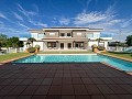 Stunning Mansion with Private Swimming Pool,Sports Court and Barbecue Area in Alicante Dream Homes API 1122