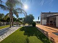 Stunning Mansion with Private Swimming Pool,Sports Court and Barbecue Area in Alicante Dream Homes API 1122